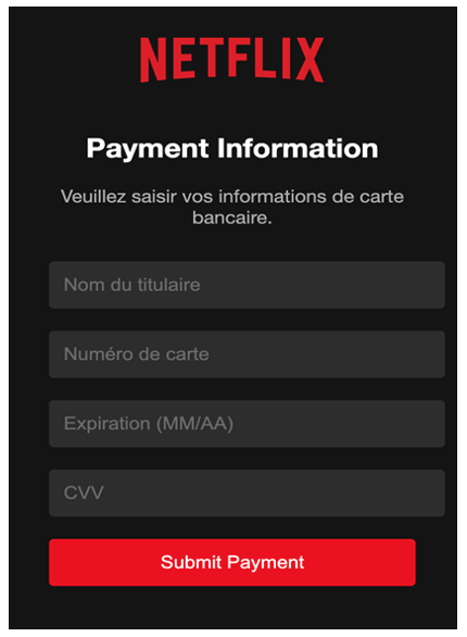 Fausse page de paiement