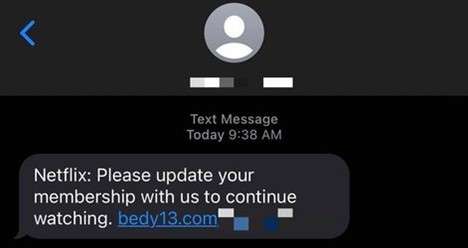 Smishing text impersonating Netflix